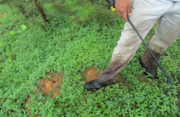 Pr Equipe Rural Resgata Trabalhadores Em Fazenda De Reflorestamento